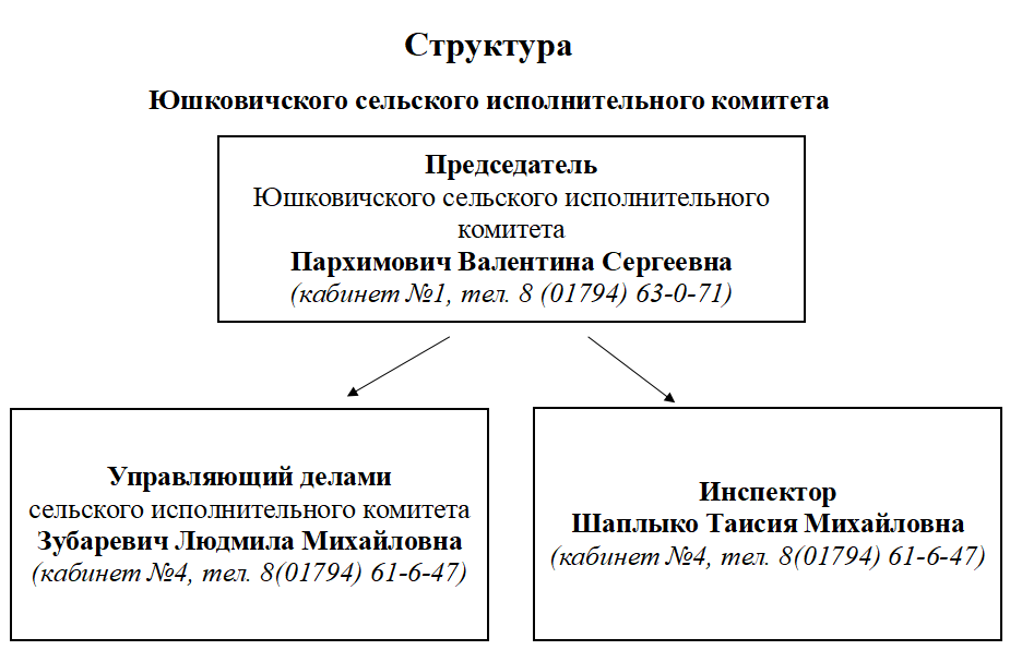 11 06 2026 017